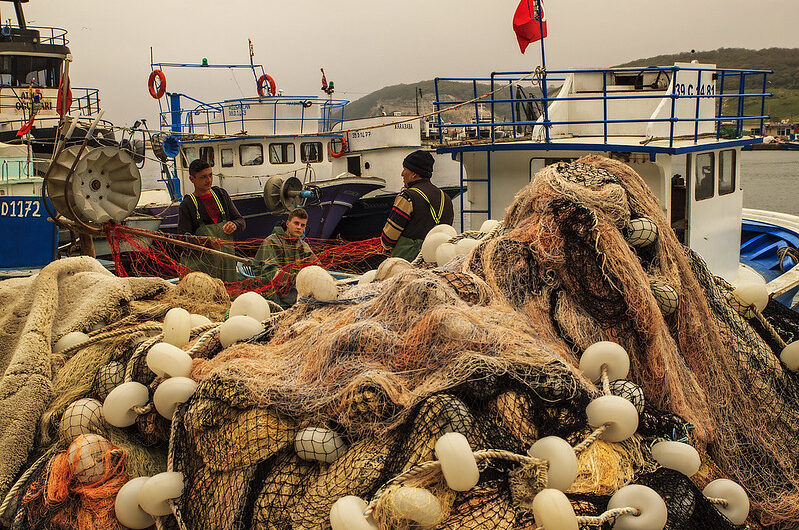 Aquaculture in the North Atlantic: Can Fish Farming Help Sustain the World’s Seafood Supply?