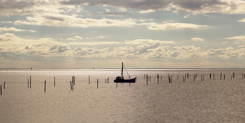 Sustainable Fishing Practices in the North Atlantic: Balancing Marine Health and Human Needs