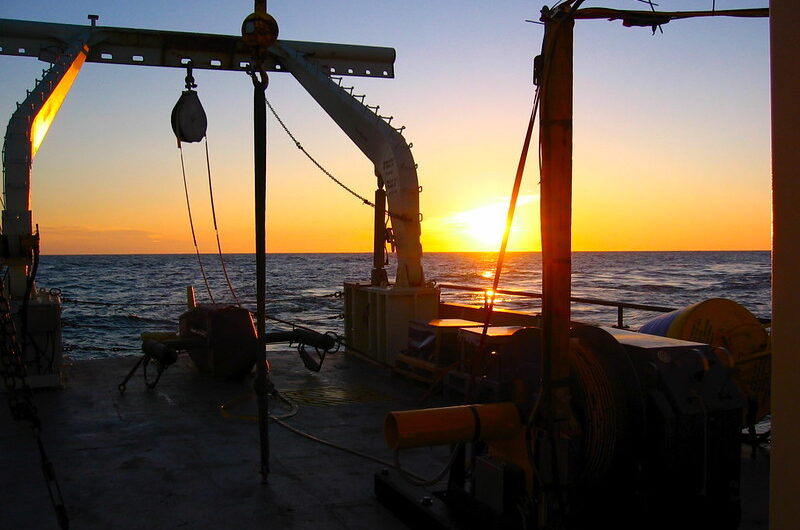 How the Sargasso Sea Serves as a Nursery for Marine Life: A Migration Hub in the Atlantic