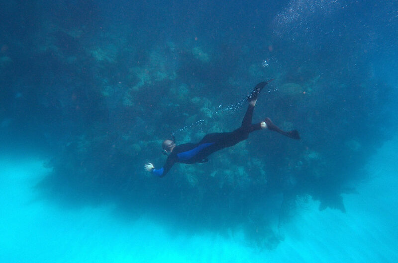 Diving Bermuda’s Wrecks: A Marine Archaeological Adventure in the Atlantic