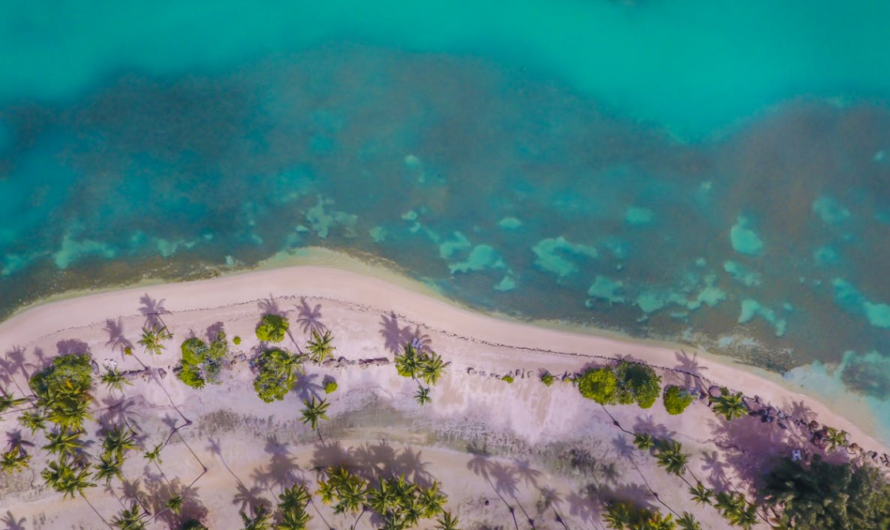 The Deep-Sea Trenches of the Atlantic: Exploring the Puerto Rico Trench and More