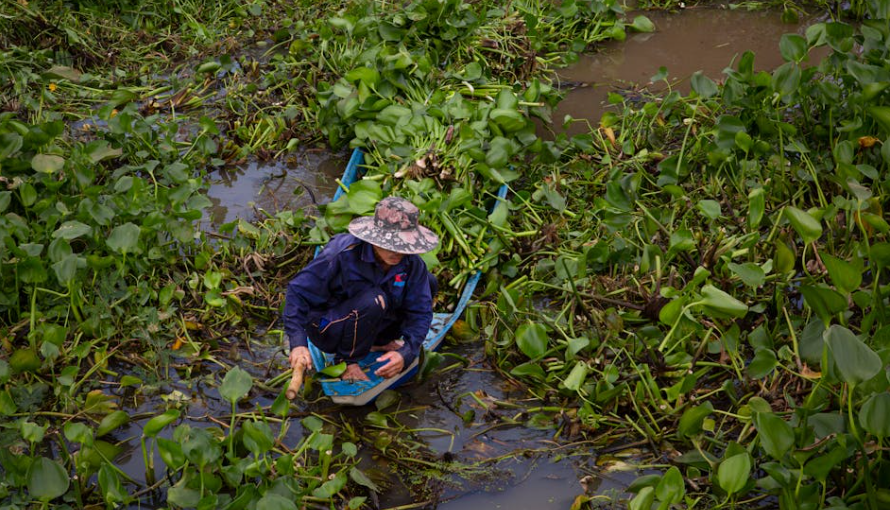 Aquaculture in the Atlantic: A Sustainable Future for Seafood?