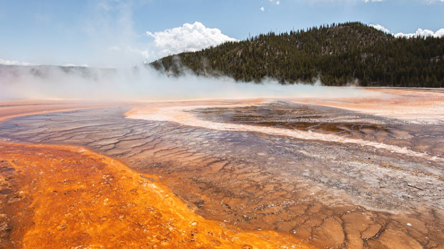 Atlantic Ocean’s Hydrothermal Vents: Understanding the Role of Extreme Ecosystems