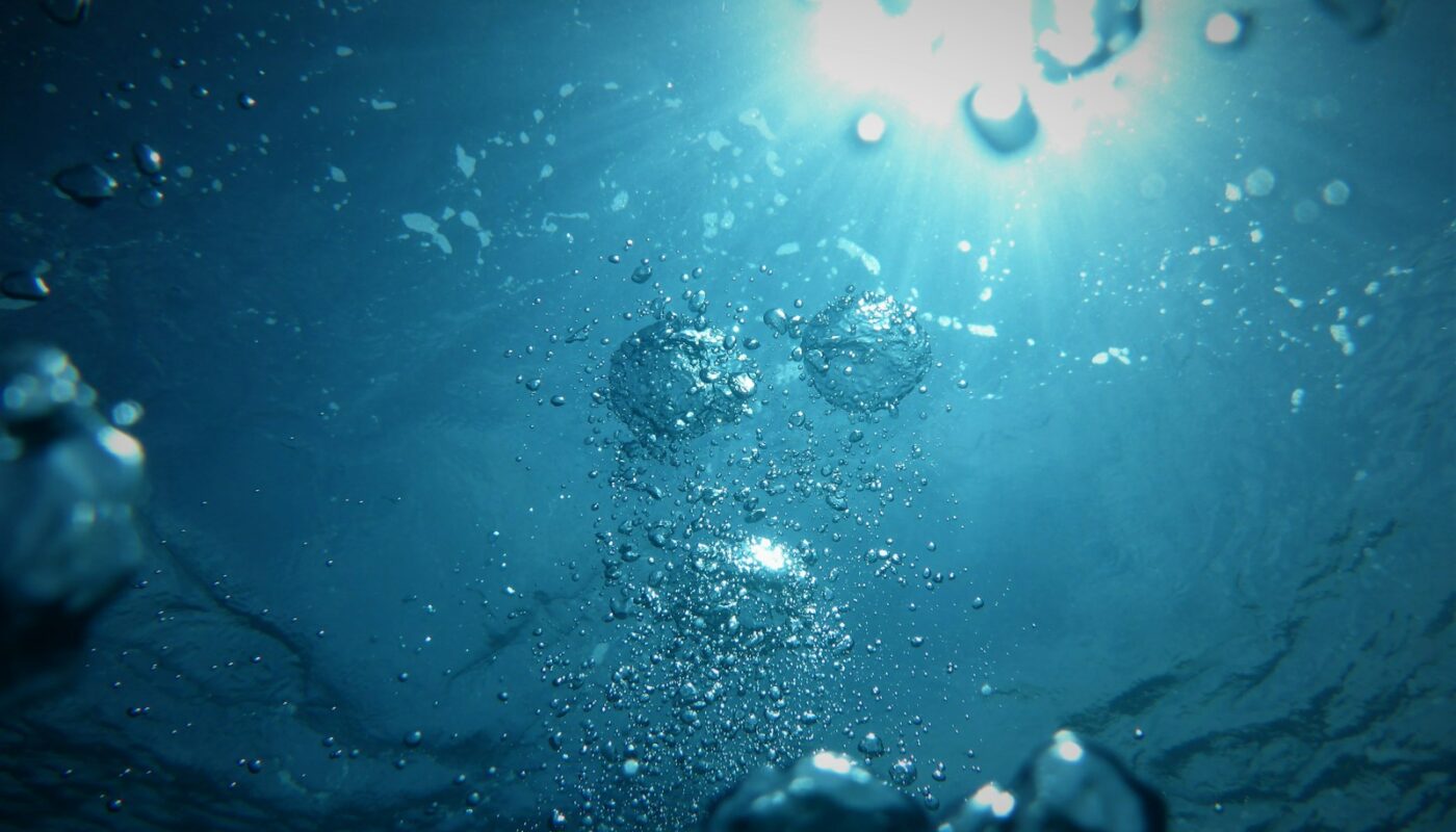 bubbles going upwards on a body of water