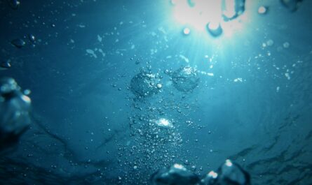 bubbles going upwards on a body of water