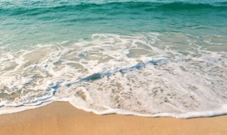 seashore under clear blue sky during daytime