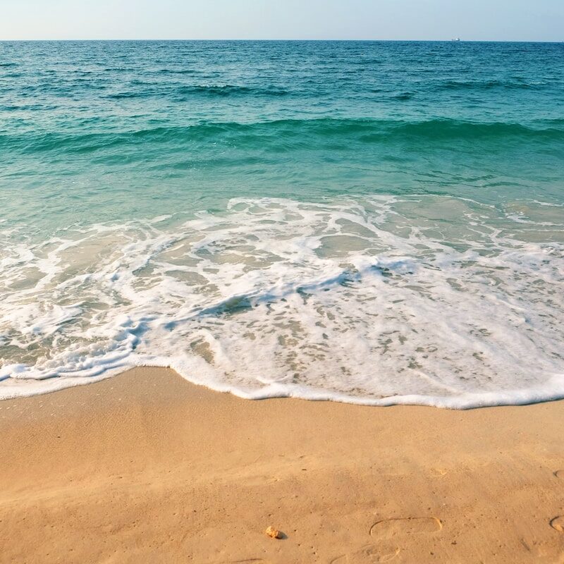 seashore under clear blue sky during daytime