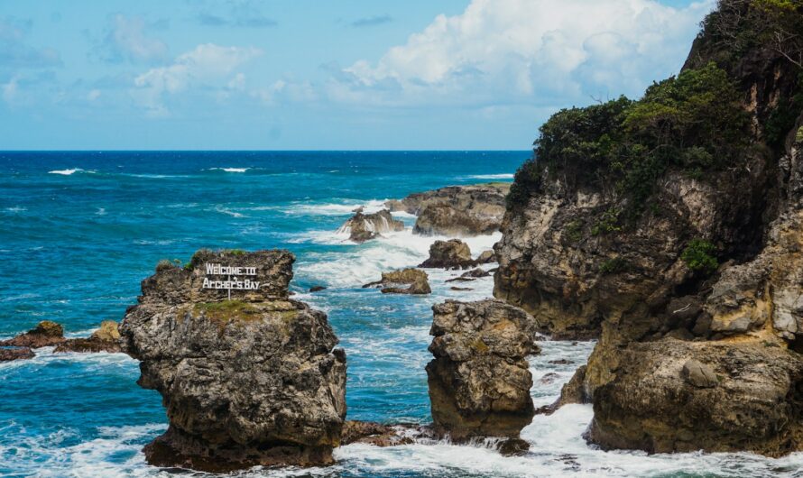 Exploring Barbados’ Coral Reefs: A Diver’s Guide to Marine Biodiversity