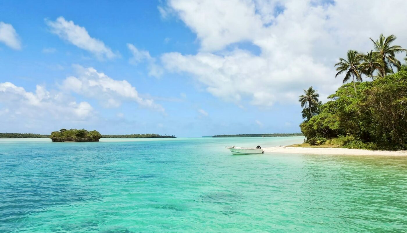 white boat on body of water near green palm trees