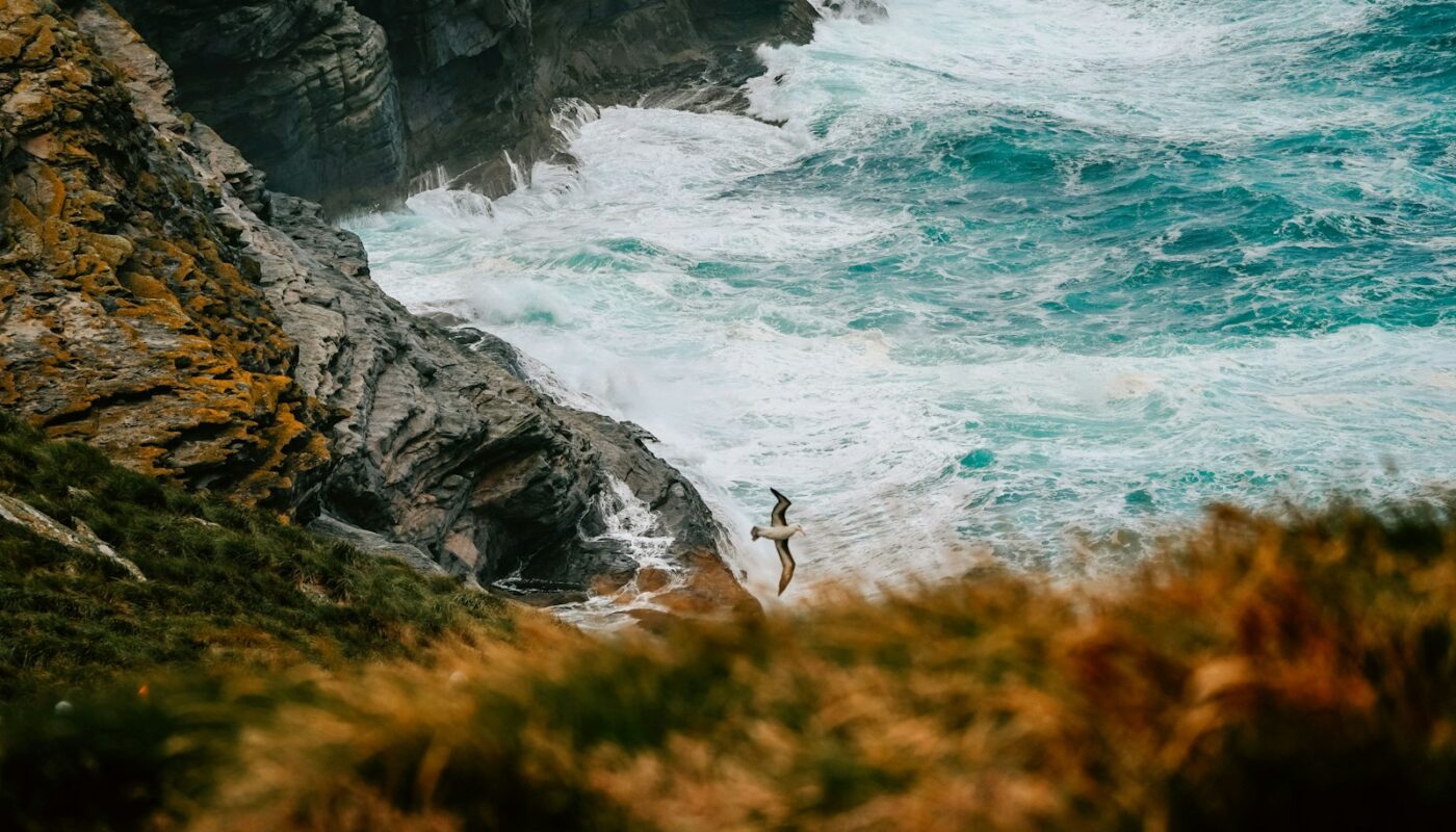 person standing on rock near body of water during daytime