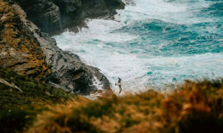 person standing on rock near body of water during daytime