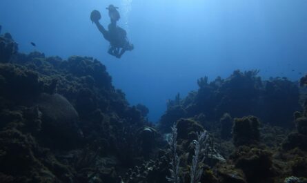 man in underwater