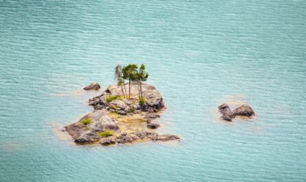 a small island in the middle of a body of water